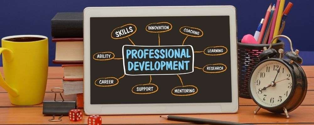 Professional development